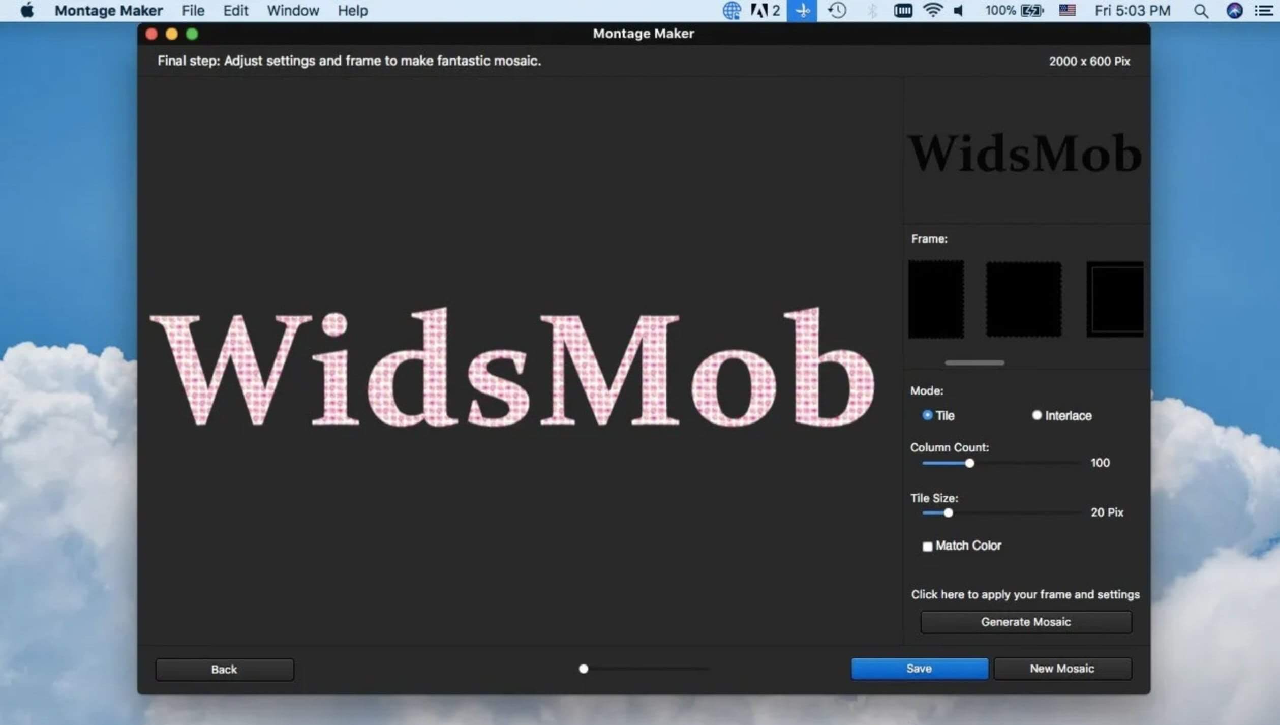 WidsMob Montage