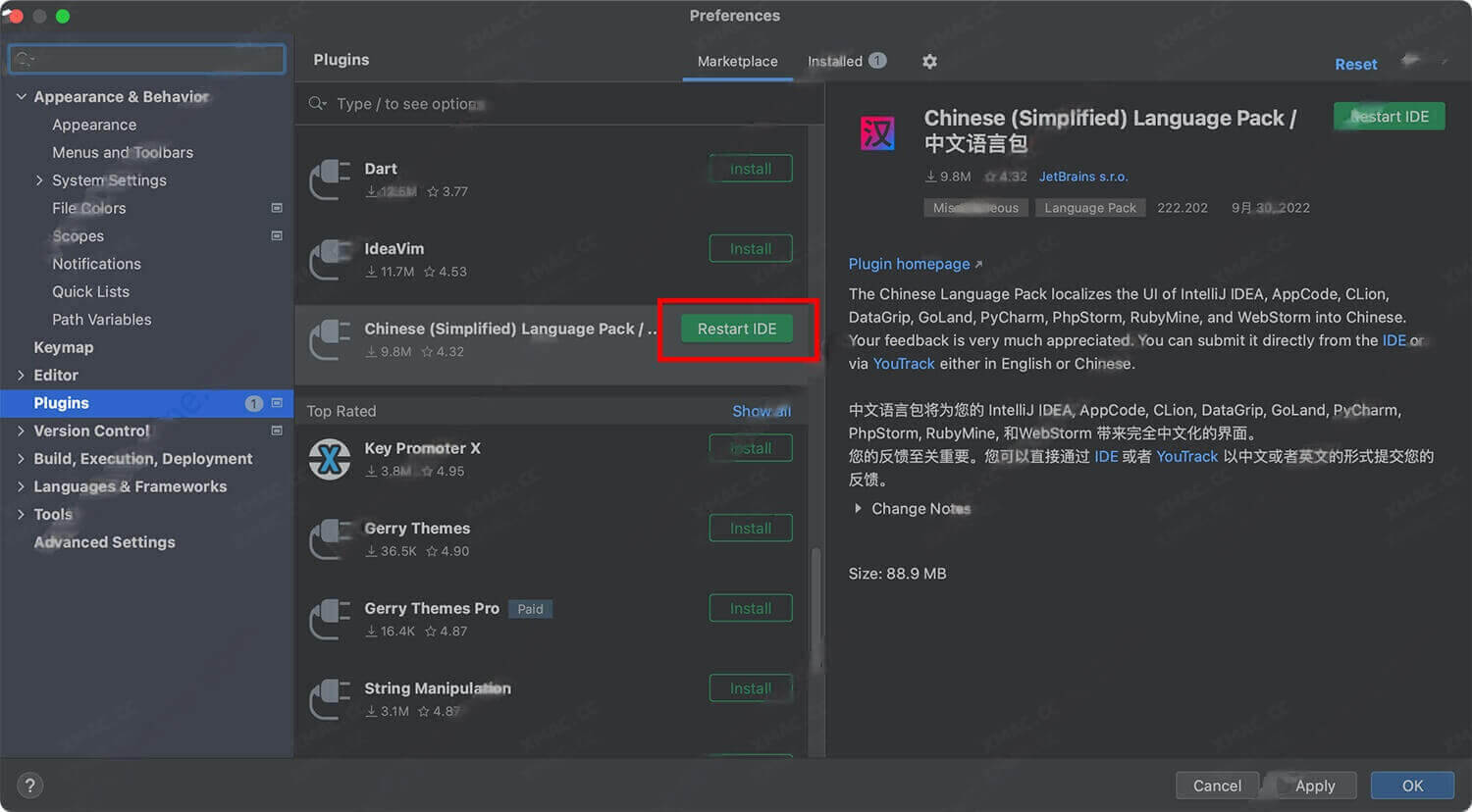 JetBrains IntelliJ IDEA 2022-2023中文安装切换保姆级别教程